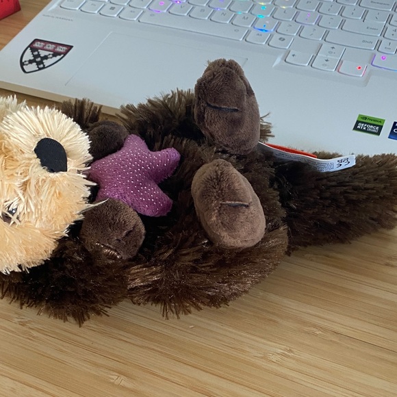 Brown Stuffed Otter with Purple Heart - Picture 4 of 5